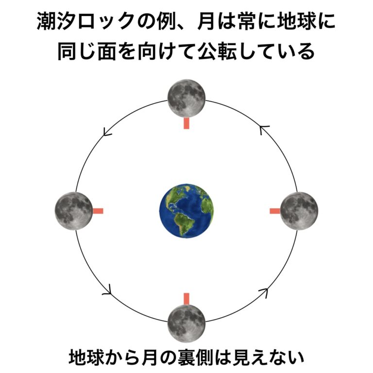 自由が丘 ヴィーガンカフェ